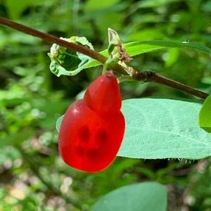 Meet your Posher, Jen